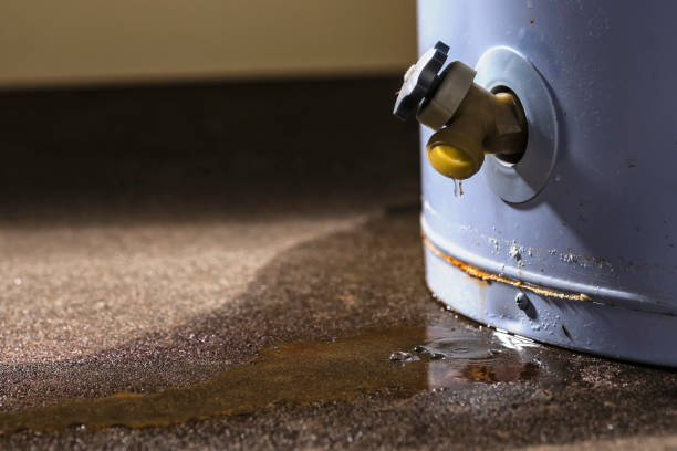 Best 24-hour water damage restoration  in Edgemoor, DE