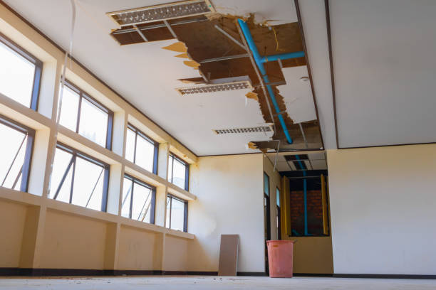 Best Water damage restoration cost  in Edgemoor, DE