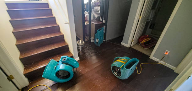 Best Basement water damage restoration  in Edgemoor, DE