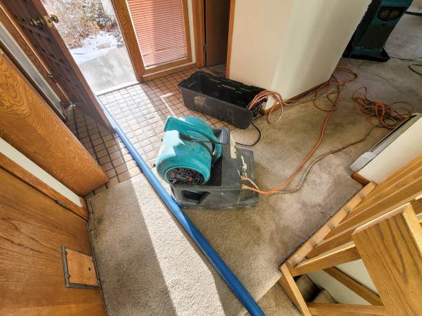 Best Commercial water damage restoration  in Edgemoor, DE