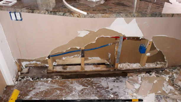 Best Water damage contractors near me  in Edgemoor, DE