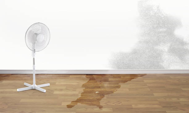 Best Sewage cleanup and water damage restoration  in Edgemoor, DE