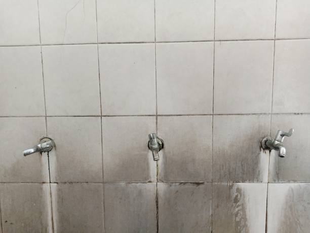Best Water damage restoration near me  in Edgemoor, DE