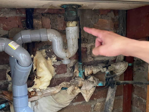 Best Water damage restoration near me  in Edgemoor, DE