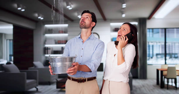 Best 24/7 water damage repair  in Edgemoor, DE
