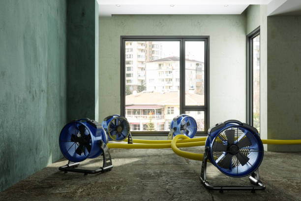 Best Carpet water damage restoration  in Edgemoor, DE